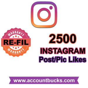 Standard Plan: 2500 Instagram Post/Pic Likes