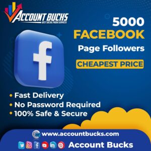 Buy 5000 Facebook Page Followers