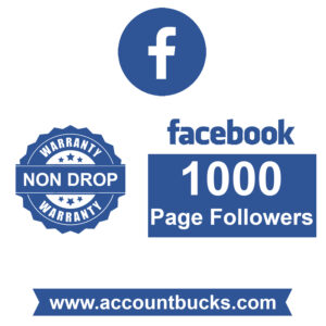 Basic Plan: 1000 Facebook Page Followers
