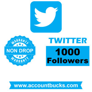 Standerd Plan: 1000 Twitter HQ Followers