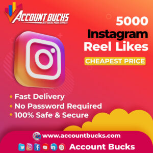 Buy 5000 Instagram Reels Likes cheap