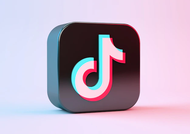 Buy tiktok follower through paypal